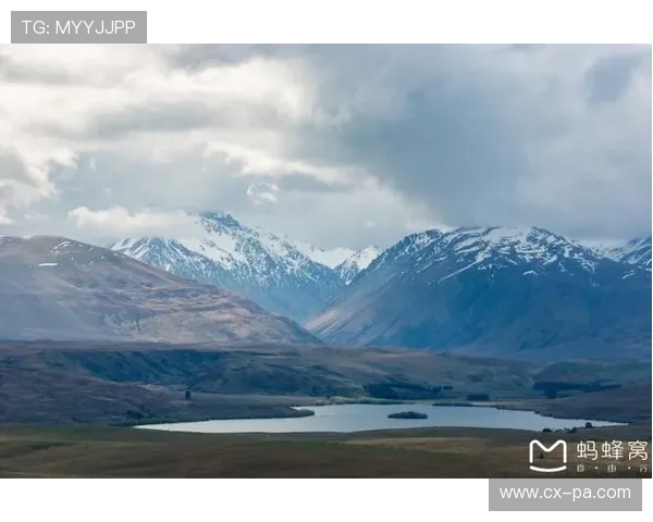 如何下载并畅玩房车环游世界游戏步骤详解